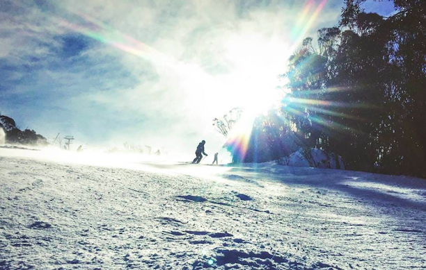 Ski
