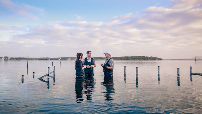 Coffin Bay Oyster Farm ©South Australian Tourism Commission