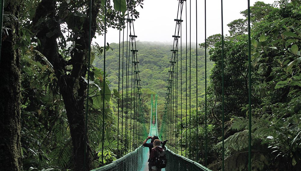 Hanging bridges near Monteverde ©Unsplash 