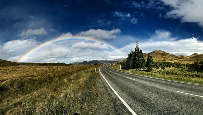New Zealand Road Trippin