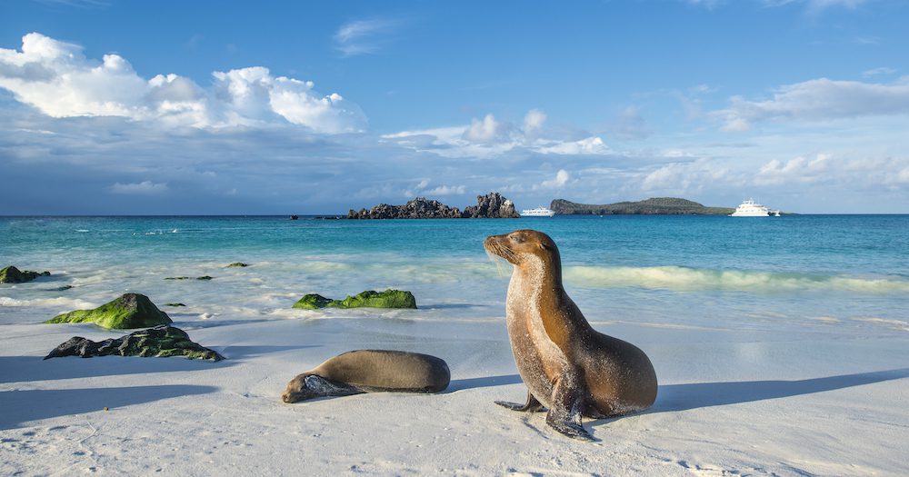 Hurtigruten Expeditions expands, taking adventurers to the Galapagos Islands