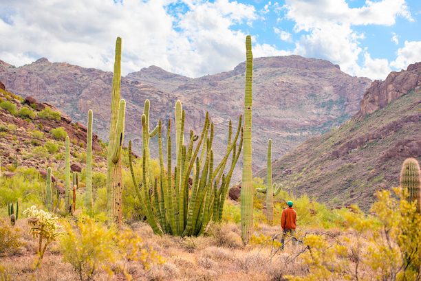 Get in quick: Win a share of $1000 worth of prizes from Arizona 1 Win Arizona