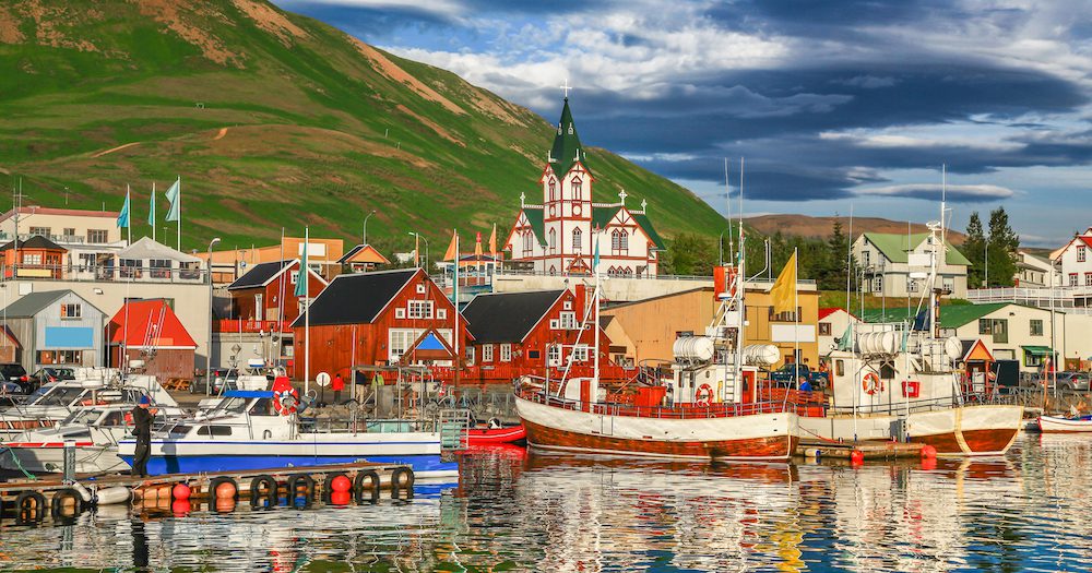 Viking Iceland