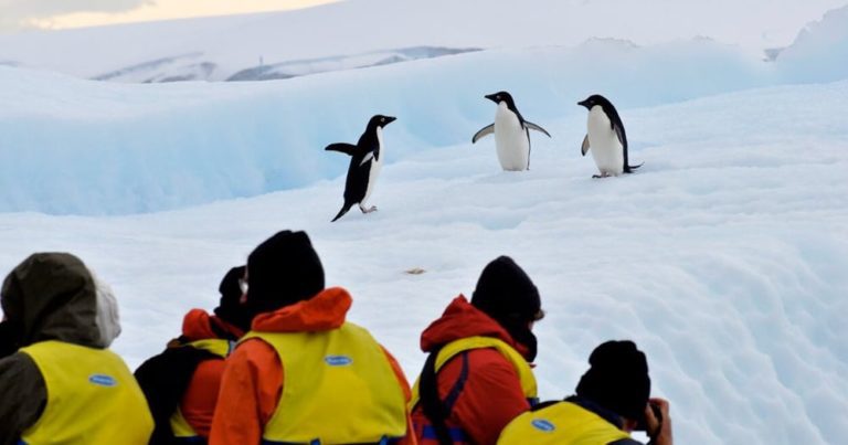 Travel Deals: Save up to 25% off with Aurora Expeditions worldwide