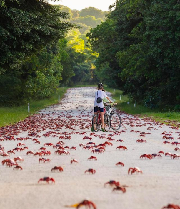 Australia