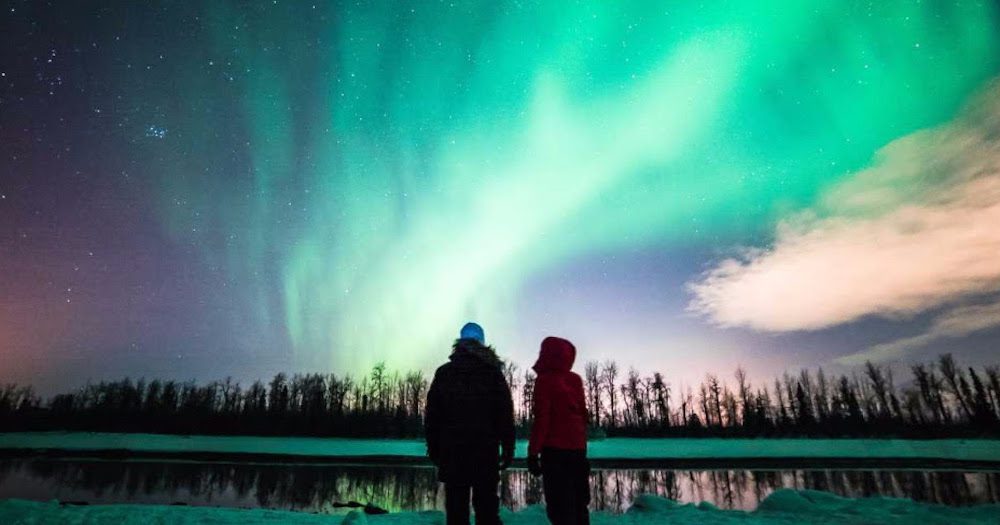 Become an Anchorage Wild Expert & you could win a 2022 FAM trip