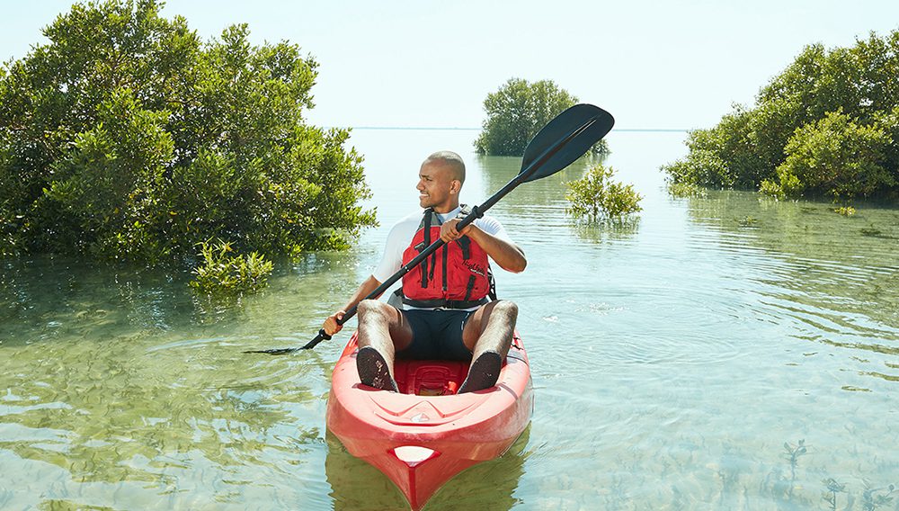 Kayak through the Al Thakira mangroves and see an unexpected variety of birds, including flamingos