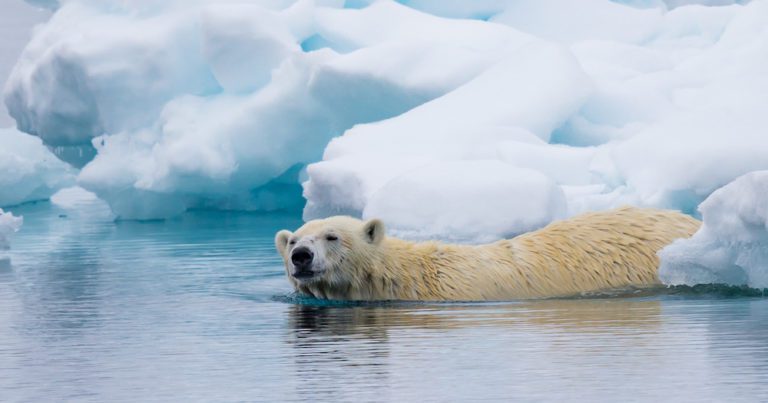 Travel Deals: Save up to 35% with Chimu Adventures’ 2022 Arctic Cruise Sale