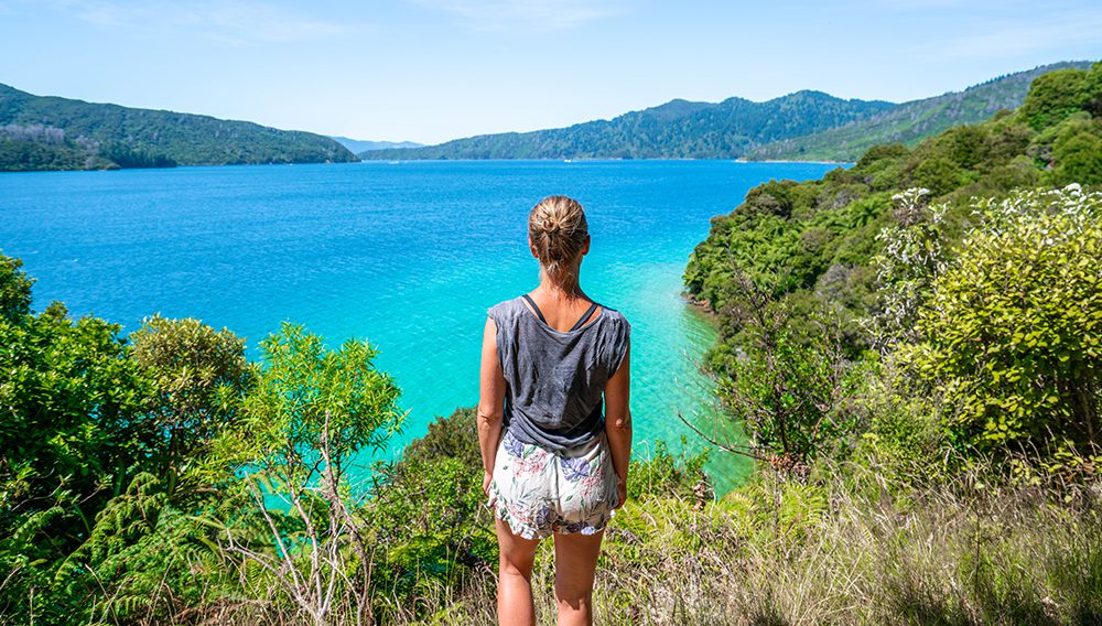 Endeavour Inlet, Queen Charlotte Track. Image courtesy of MarlboroughNZ