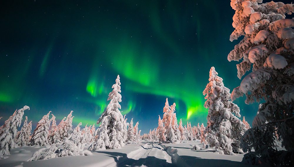 Sip warm berry juice, a Finnish tradition, under the cover of blankets in the surround of northern Finland’s unspoiled wilderness as you continue the search for the elusive northern lights on 6 Night The Northern Lights of Finland tour. Image courtesy of Collette/©Oxana Gracheva
