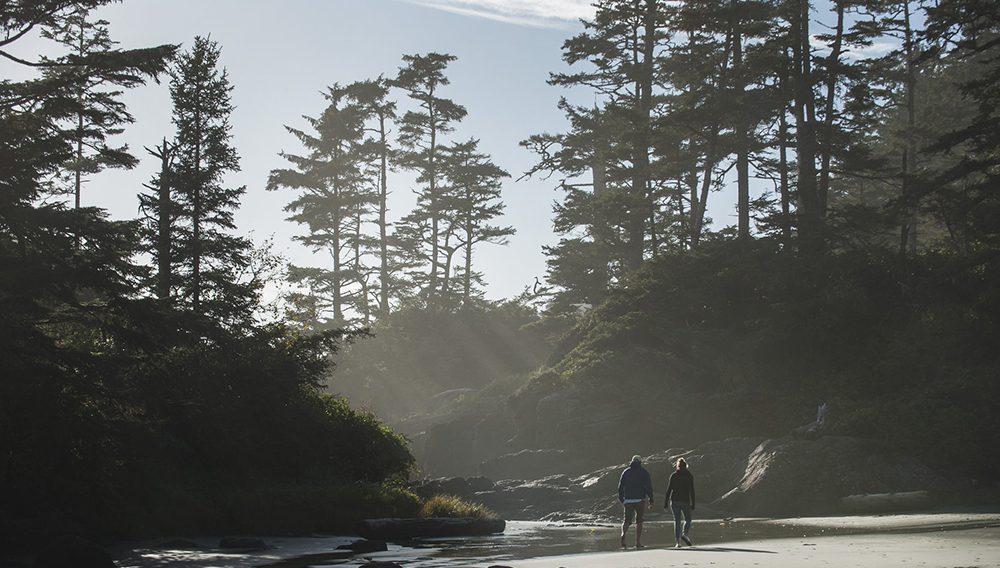 Destination Canada’s new training portal: the more you know, the further you go 7 Cox Bay, Tofino, British Columbia © Brian Caissie