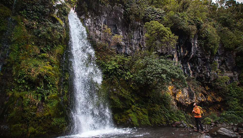 Dawson Falls, Taranaki Maunga National Park. Image credit: Taranaki.co.nz