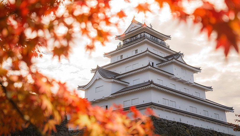 Untitled 1 0001 fukushima media tsurugajo castle in autumn