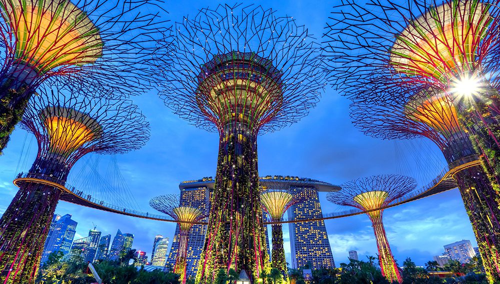 Enjoy dinner at Gardens by the Bay, Conservatory (either Flower Dome or Cloud Forest) included in your package price