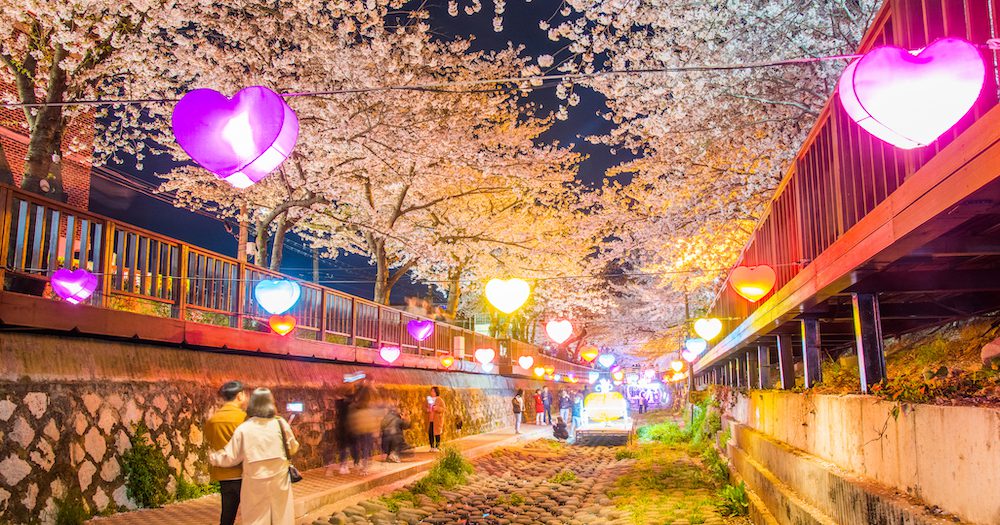 Cherry blossom fans rejoice! South Korea is open for tourism as visa-free travel resumes