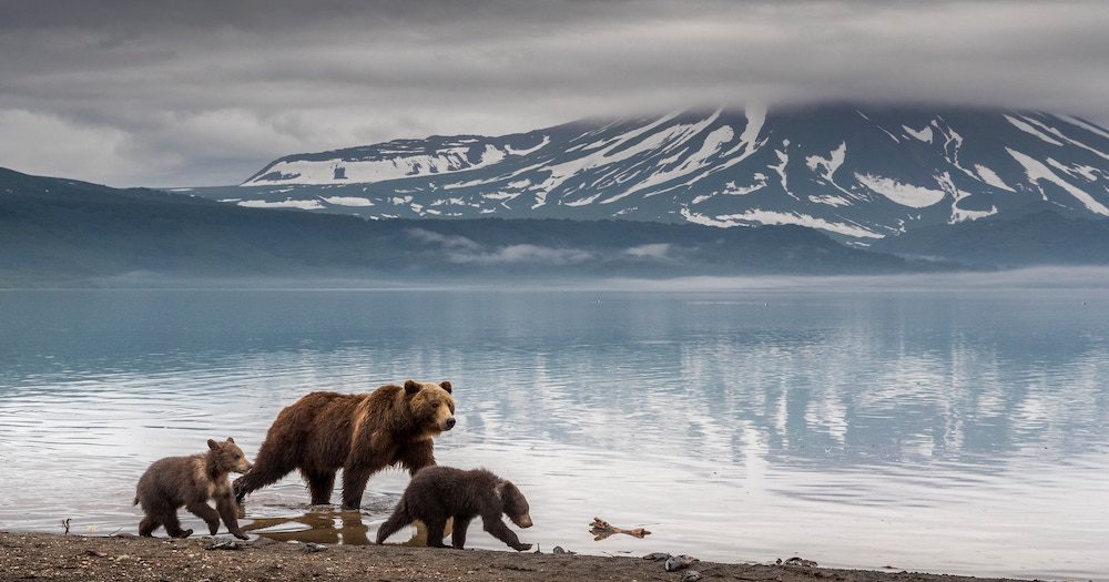 Aurora Expeditions cancels Russian itineraries in light of Ukraine crisis