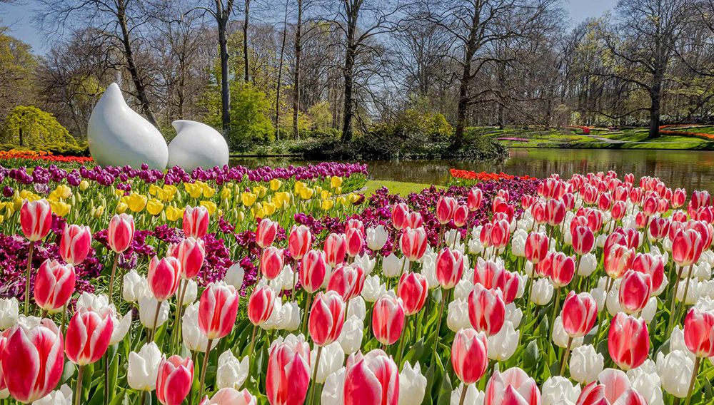 Visit the enchanting Keukenhof Gardens, Amsterdam