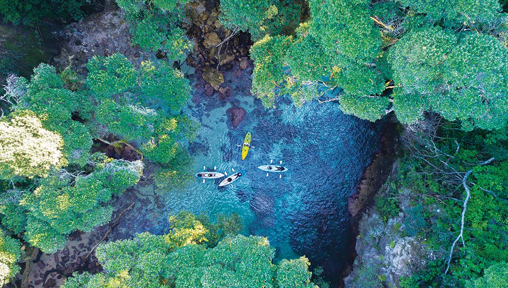 Paddle into Whenuakura Wildlife Sanctuary via a single 40ft-high cave.