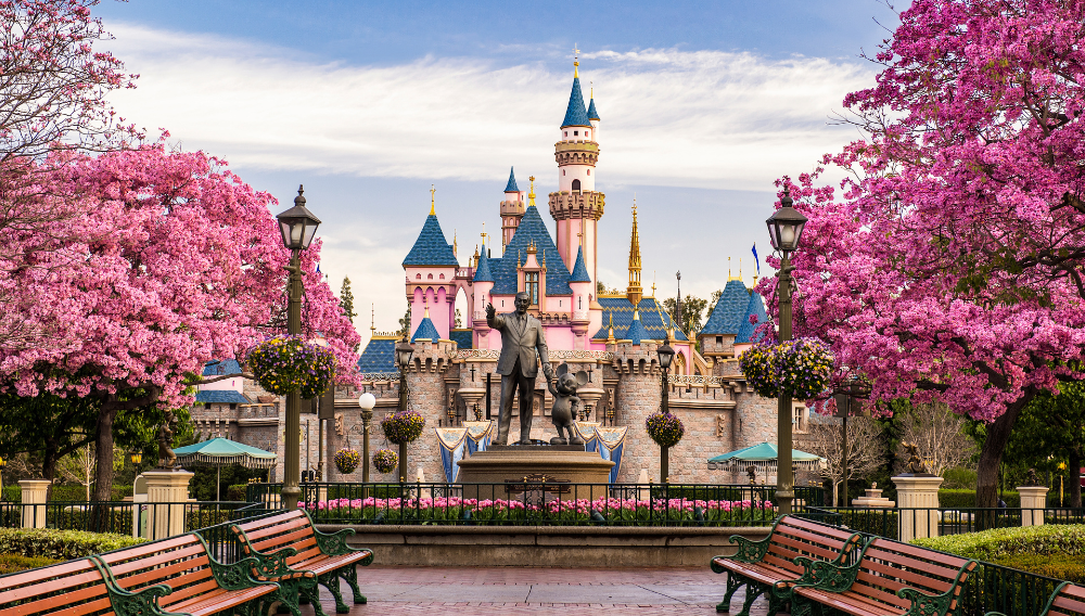 Disney, Delta Air Lines & desirable deals - James Whiting, The Travel Junction