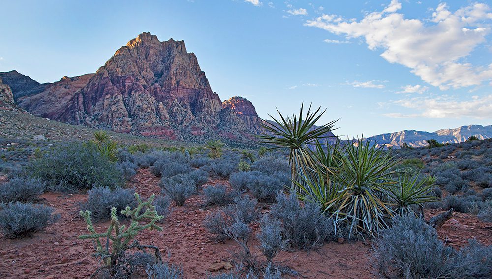 Spring Mountains National Recreation Area ©Travel Nevada