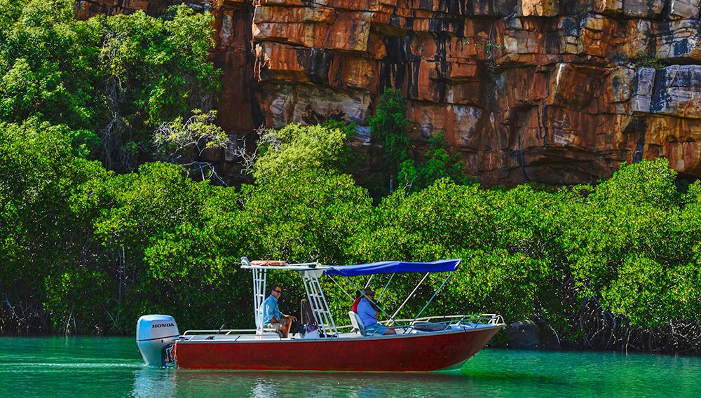 Enjoy a marine adventure to the spectacular King George Falls