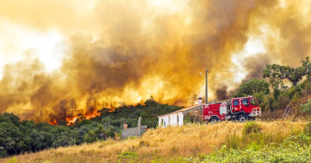 Cruel summer: Europe hit with heatwaves and wildfires