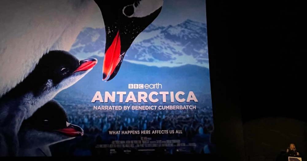 Penguins! Quark Expeditions showcases Antarctica 3D movie with IMAX
