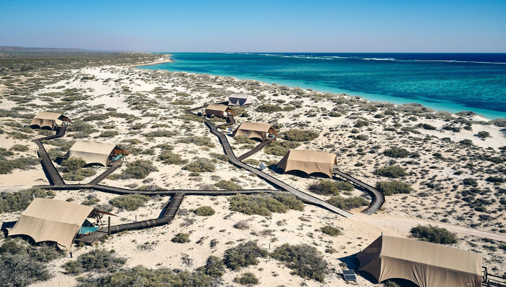 Dream trips made easy: ANZCRO’s carefully curated collection of Signature Australian Experiences are here! 1 1000 x 568 2