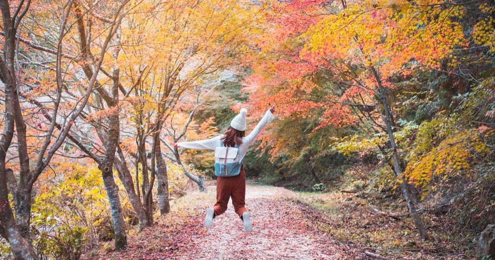 Karryon's Top 10 stories of the week: Catch up on our most-wanted: Sep 30 10 1 Japan autumn travel shutterstock 1505200340