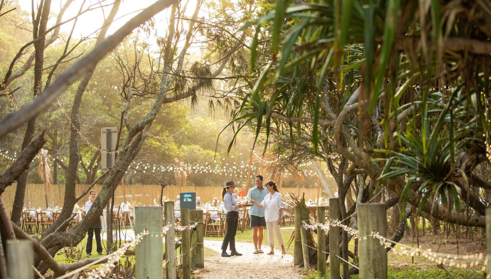 Fancy swapping the Boxing Day blues for a Bonanza aboard the Great Southern with Journey Beyond? 2 1000 x 568 2 6