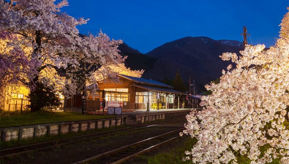 The "YUTTARI (relaxing) AIZU TOBU FREE PASS" is a convenient way to visit the Aizu area where you can enjoy hot springs and cherry blossoms in Fukushima