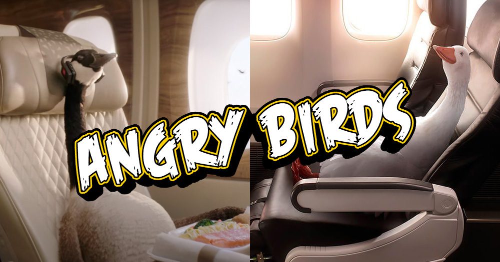 Karryon's Top 10 stories of the week: Catch up on our most-wanted: Sep 9 3 8 Dave Gerry Angry Birds