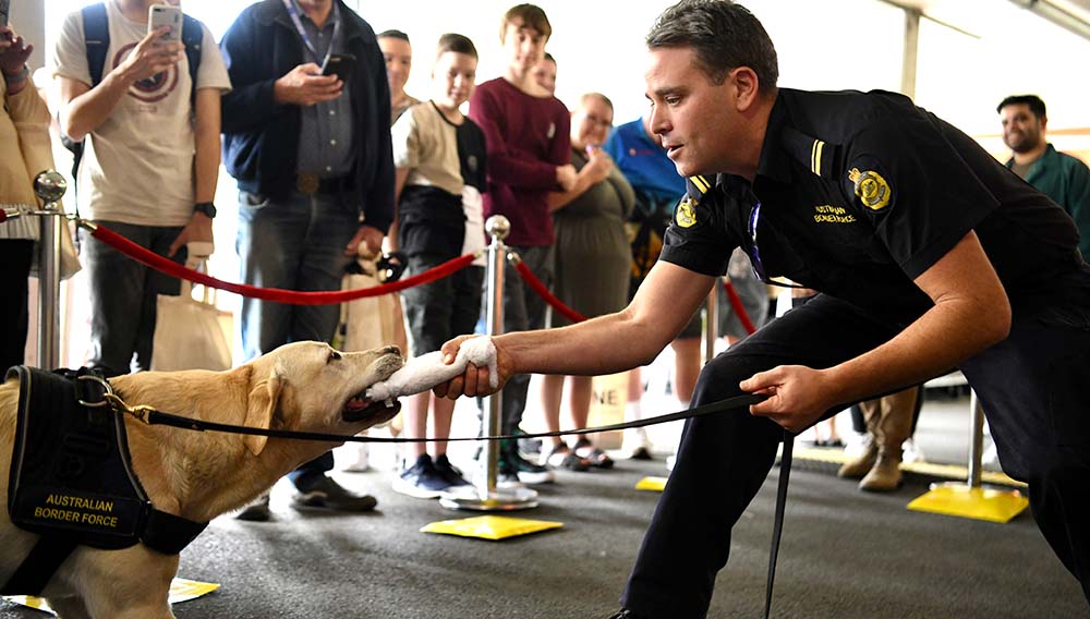 BNE Careers Expo touches down with thousands of jet-setting jobseekers 1 BNE Careers ABF 1