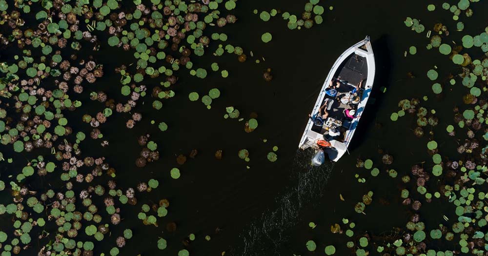 Reel big fish: NT hooks keen anglers for Million Dollar Fish comp