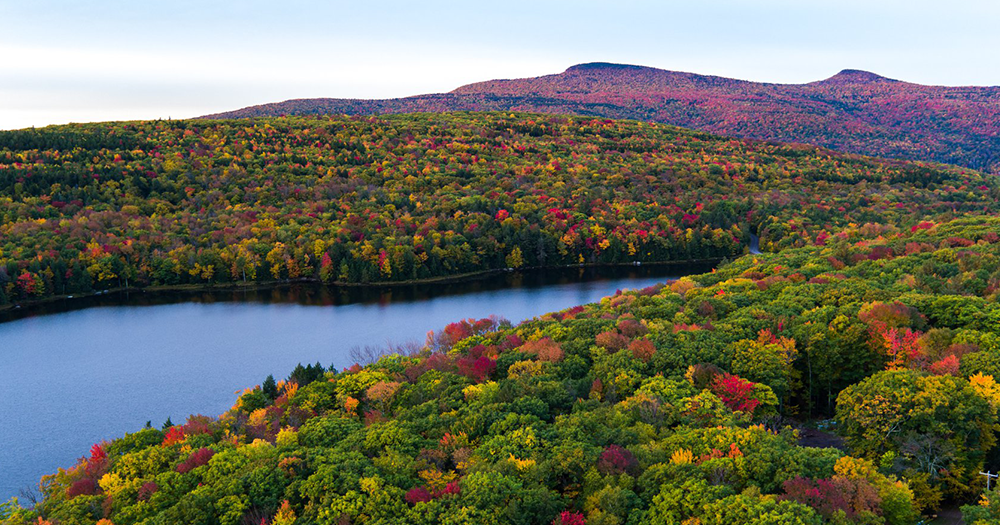 Advisors! Book New York State to earn bonus points towards The Travel Junction's incentives and epic grand prize