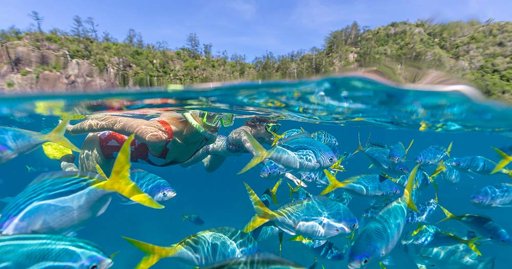 Advisors! Cue the travel inspo and info with TEQ’s Queensland Trade website