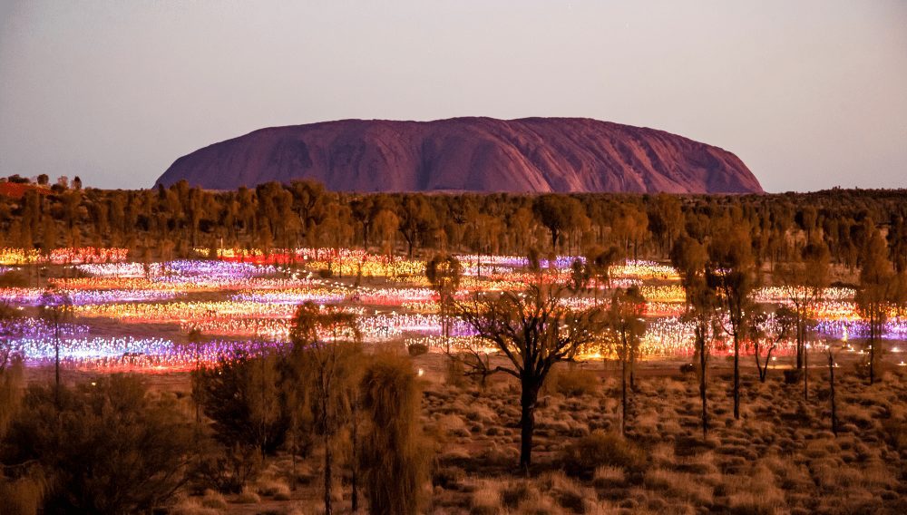 Admire the internationally acclaimed ‘Field of Light’ display at Uluru and watch as it illuminates the desert night on Red Centre Spectacular journeys.