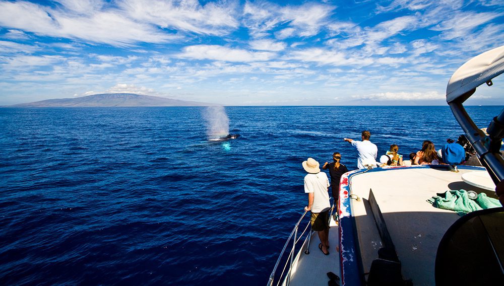 The Aloha Update: Hawai’i in winter? Find out why you need to go 3 ©Hawaii Tourism Authority (HTA) / Tor Johnson