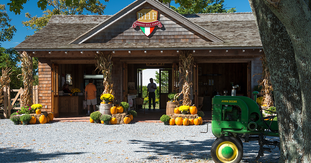 Advisors! Book New York with just one stop via your one-stop shop – The Travel Junction 4 Farm