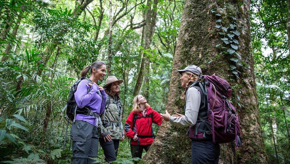 Karryon Touring: TTC Tour Brands, AAT Kings, Scenic, Wendy Wu Tours + more 5 Spicers SRT people on walk 1100x800 1