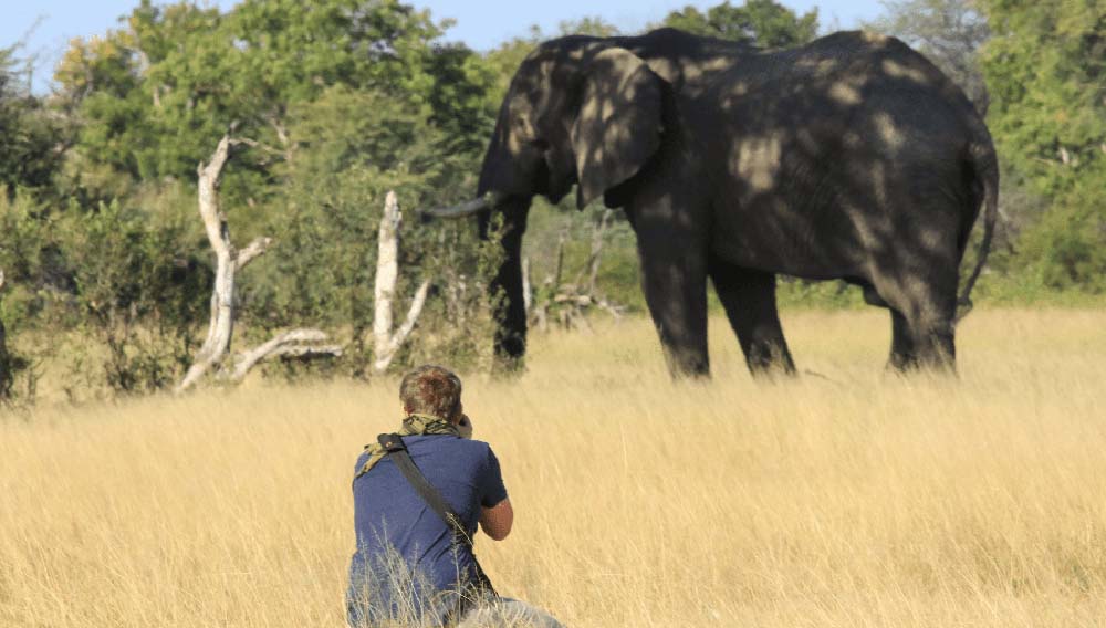 Karryon Touring: A&K, Entire Travel Group, ETC, GJNZ, The Explorer Society + more 7 The Explorer Society Hwange
