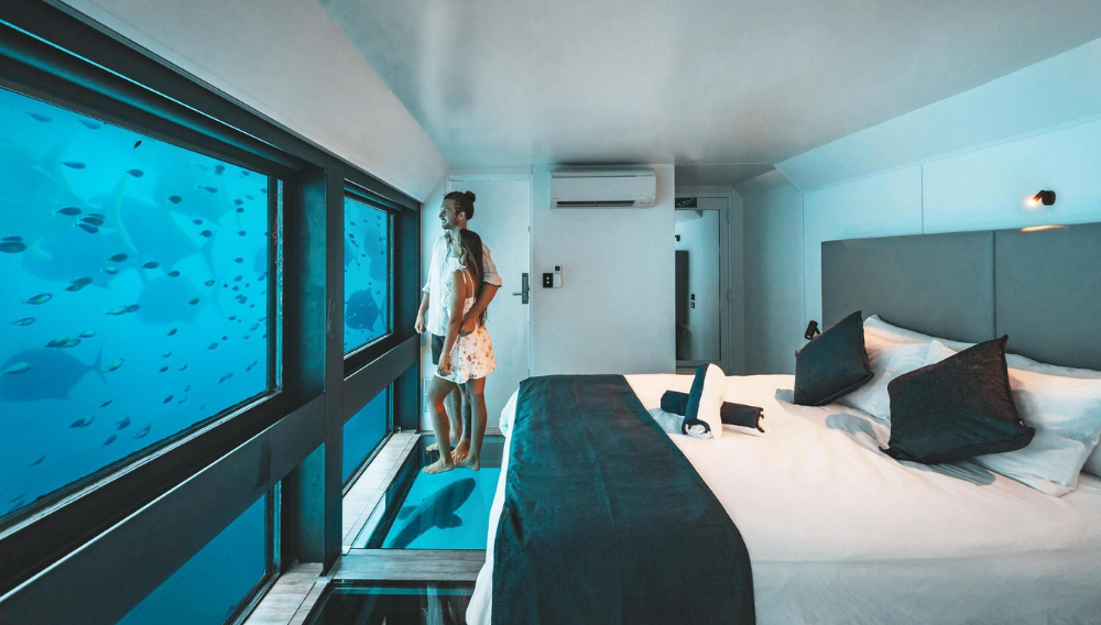 Spend the night with the fish for company in Cruise Whitsunday's Reefsuite
