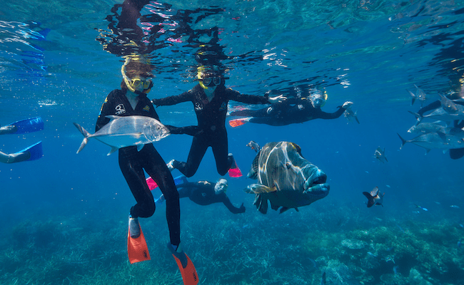 GBR snorkelling