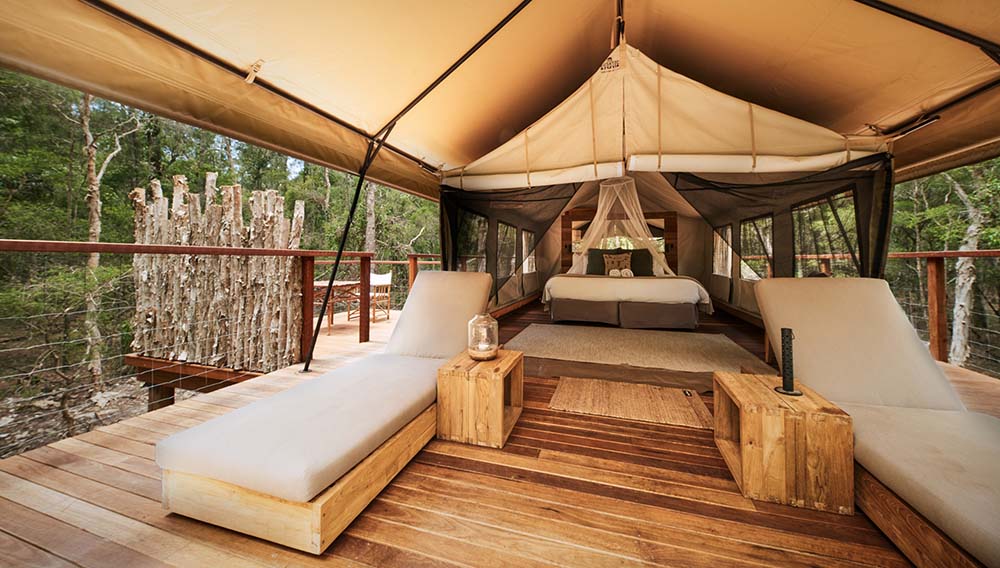 Karryon Travel Deals: Celebrity Cruises, Thailand, Kakadu, Cairns + more 5 Paperbark Camp – Deluxe Safari Tent