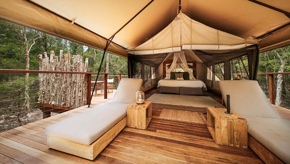 Paperbark Camp – Deluxe Safari Tent