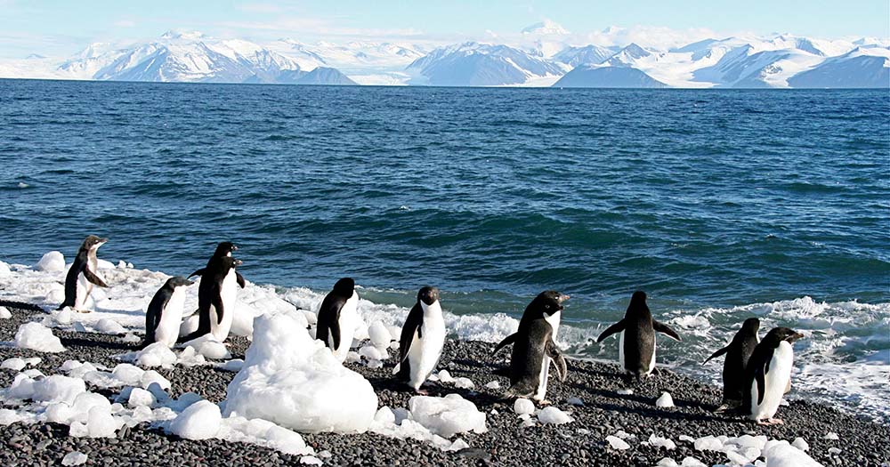 Scenic debuts new 2024/25 Antarctica voyages with savings up to $14,000