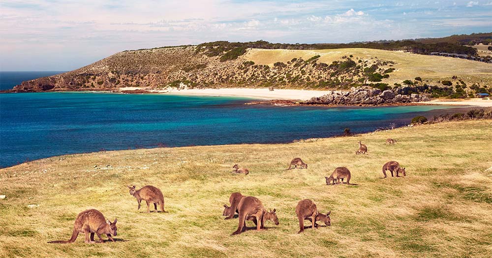 What is Australia’s best beach? Check out 2023’s top 10 stretches of sand