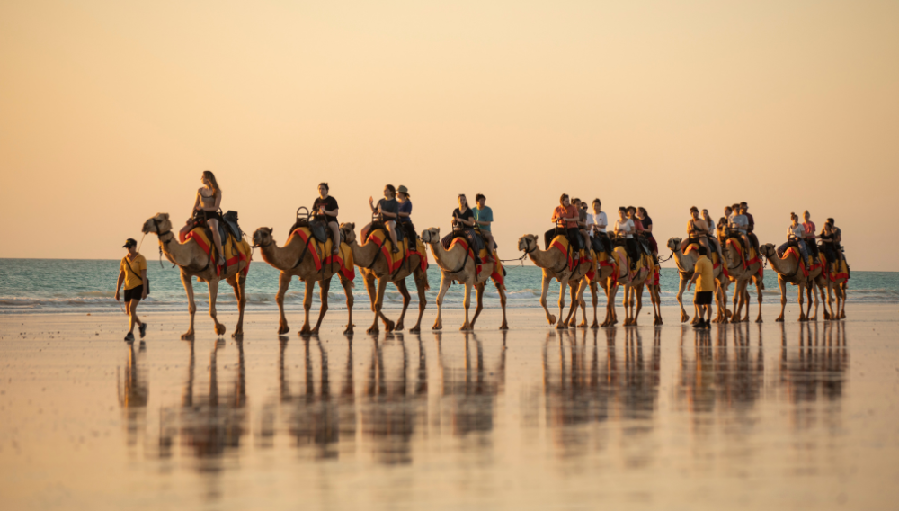 Ride a camel along Broome's Cable Beach ©Tourism Western Australia