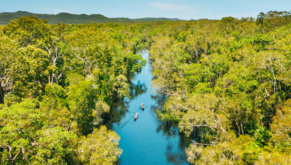 Experience the tranquility of the Noosa Everglades. ©Tourism and Events Queensland