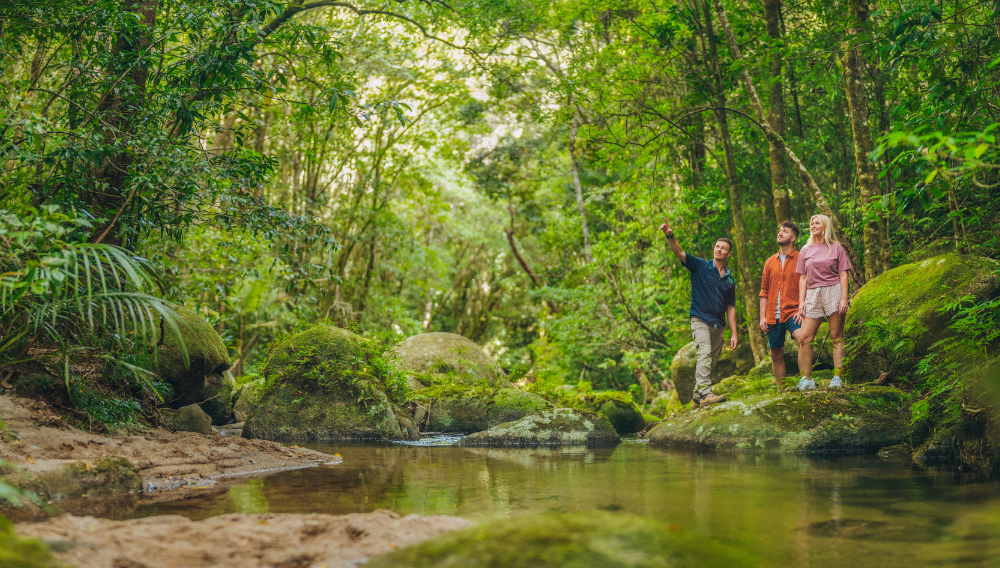 Hike the oldest living rainforest ©Tourism and Events Queensland